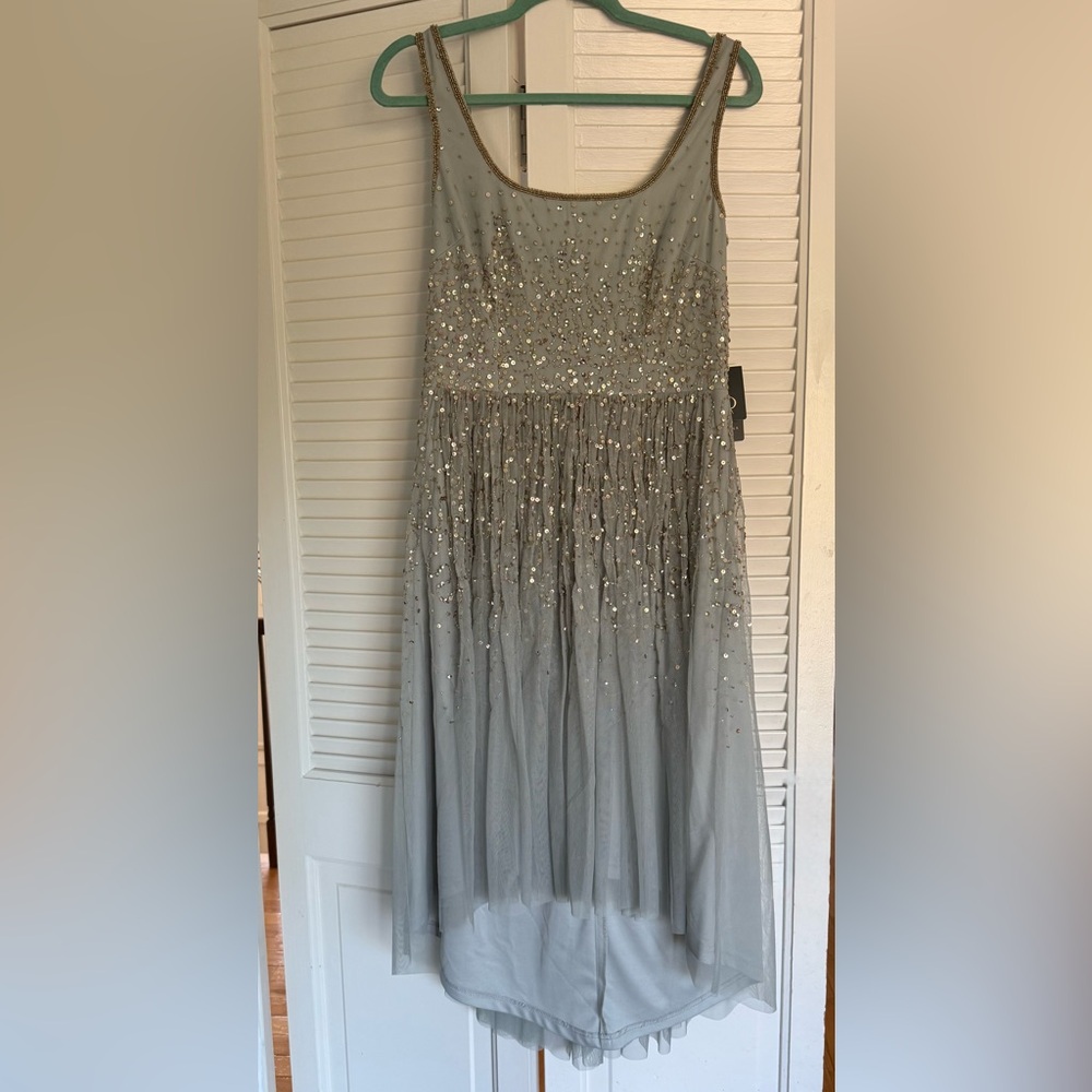 Adrianna Papell Sage Sequin Mesh Dress